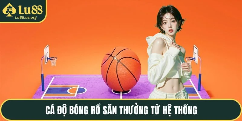 Cá độ bóng rổ săn thưởng từ hệ thống